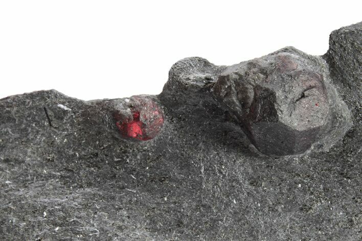 Plate of Two Red Embers Garnets in Graphite - Massachusetts #225899